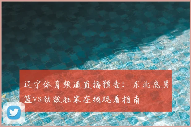 辽宁体育频道直播预告:东北虎男篮vs劲敌独家在线观看指南