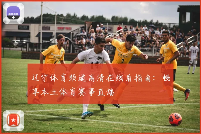 辽宁体育频道高清在线看指南：畅享本土体育赛事直播