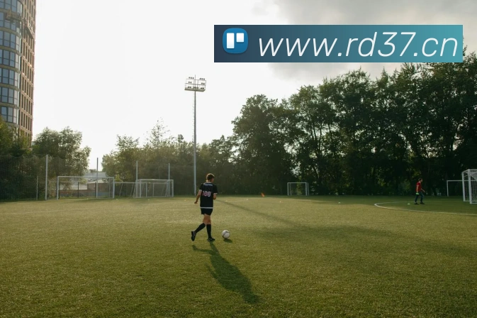 半岛官网登陆入口平台生态图